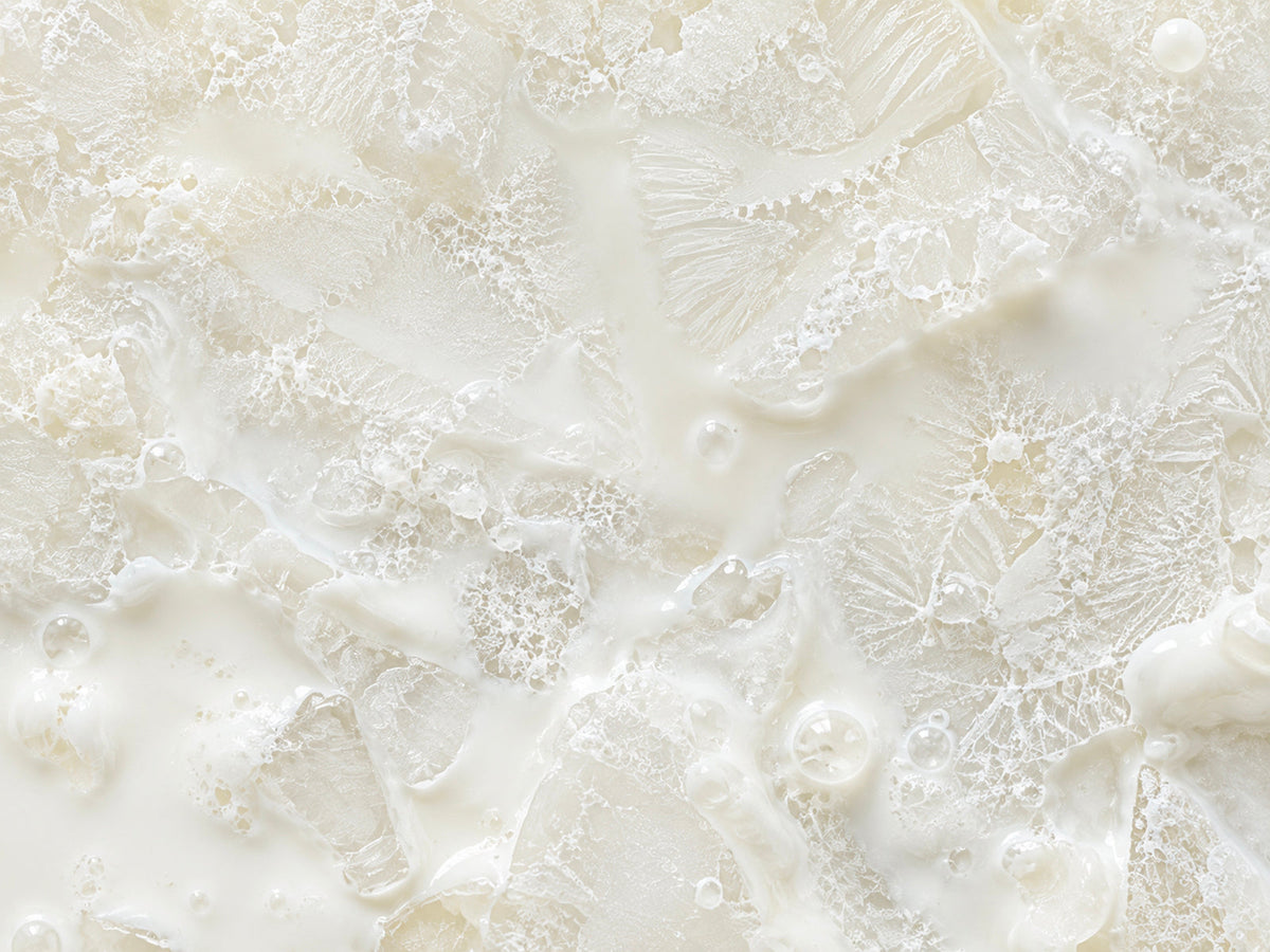 Freeze-Dried Milk Powder: The Science Behind Why Lyophilization Keeps More of What Matters